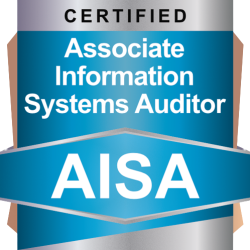 associate information systems auditor